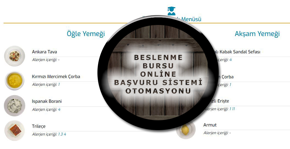 BESLENME BURSU ONLİNE BAŞVURU SİSTEMİ OTOMASYONU